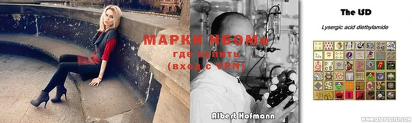 амф Магас