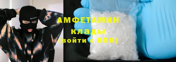 шишки Майский