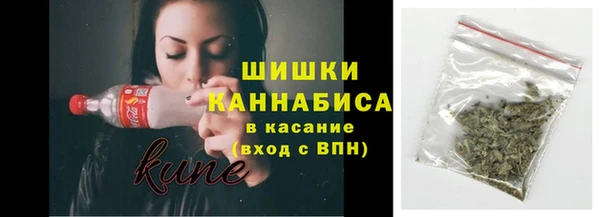 шишки Майский