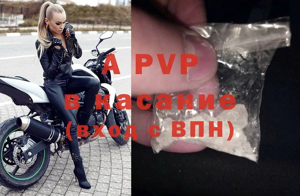 СК Магадан
