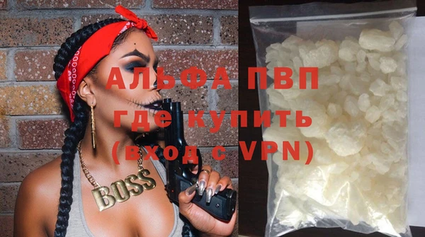шишки Майский