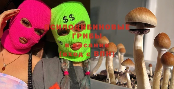 СК Магадан