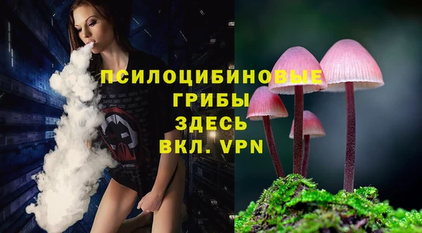 шишки Майский