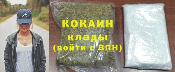 шишки Майский